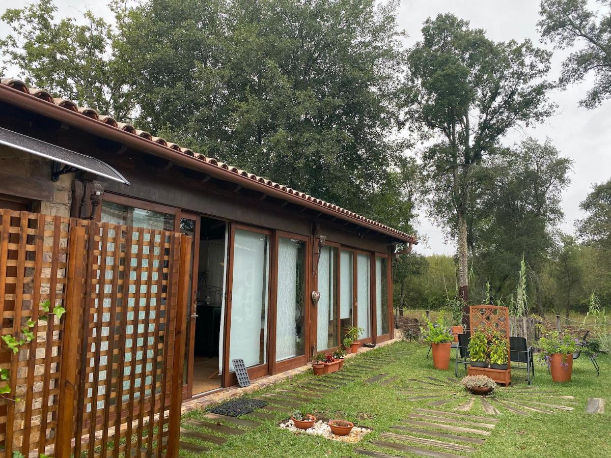 波亚里什新镇The Old Watermill Retreat - O Retiro Da Azenha Velha公寓 外观 照片