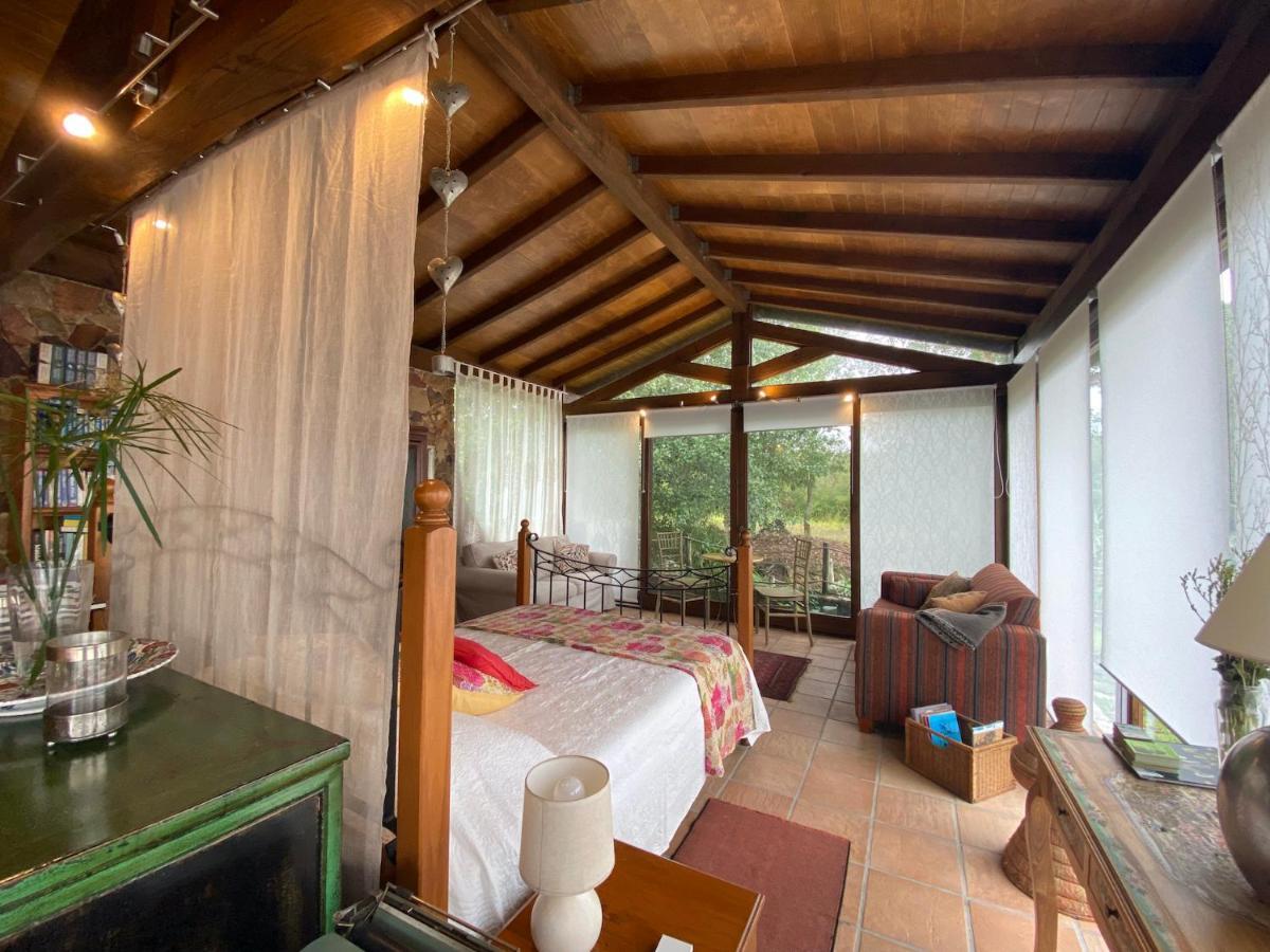 波亚里什新镇The Old Watermill Retreat - O Retiro Da Azenha Velha公寓 外观 照片